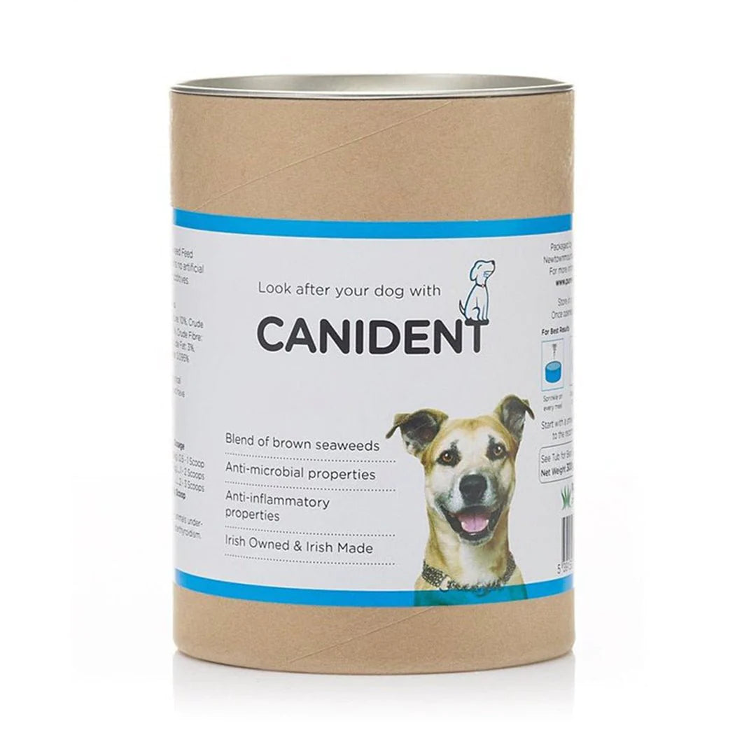 Canident / Oral Hygiene