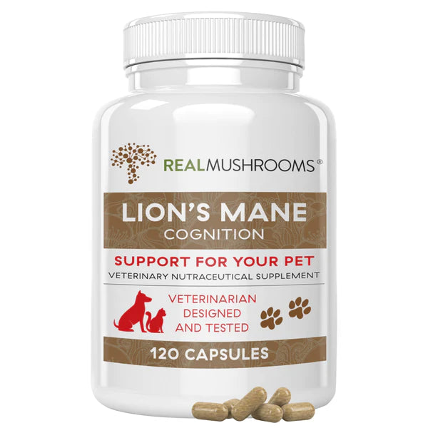 Real Mushrooms Organic Lions Mane Extract Capsules