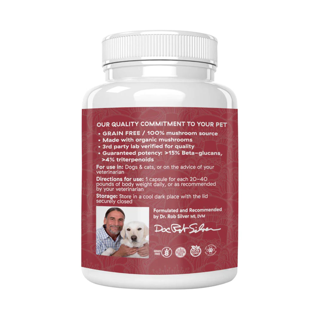Real Mushrooms Reishi 90 count