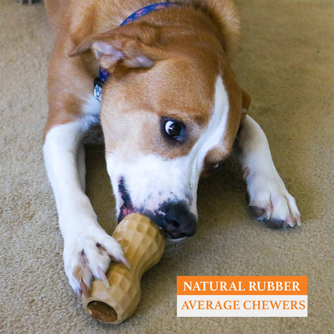 dog-chew