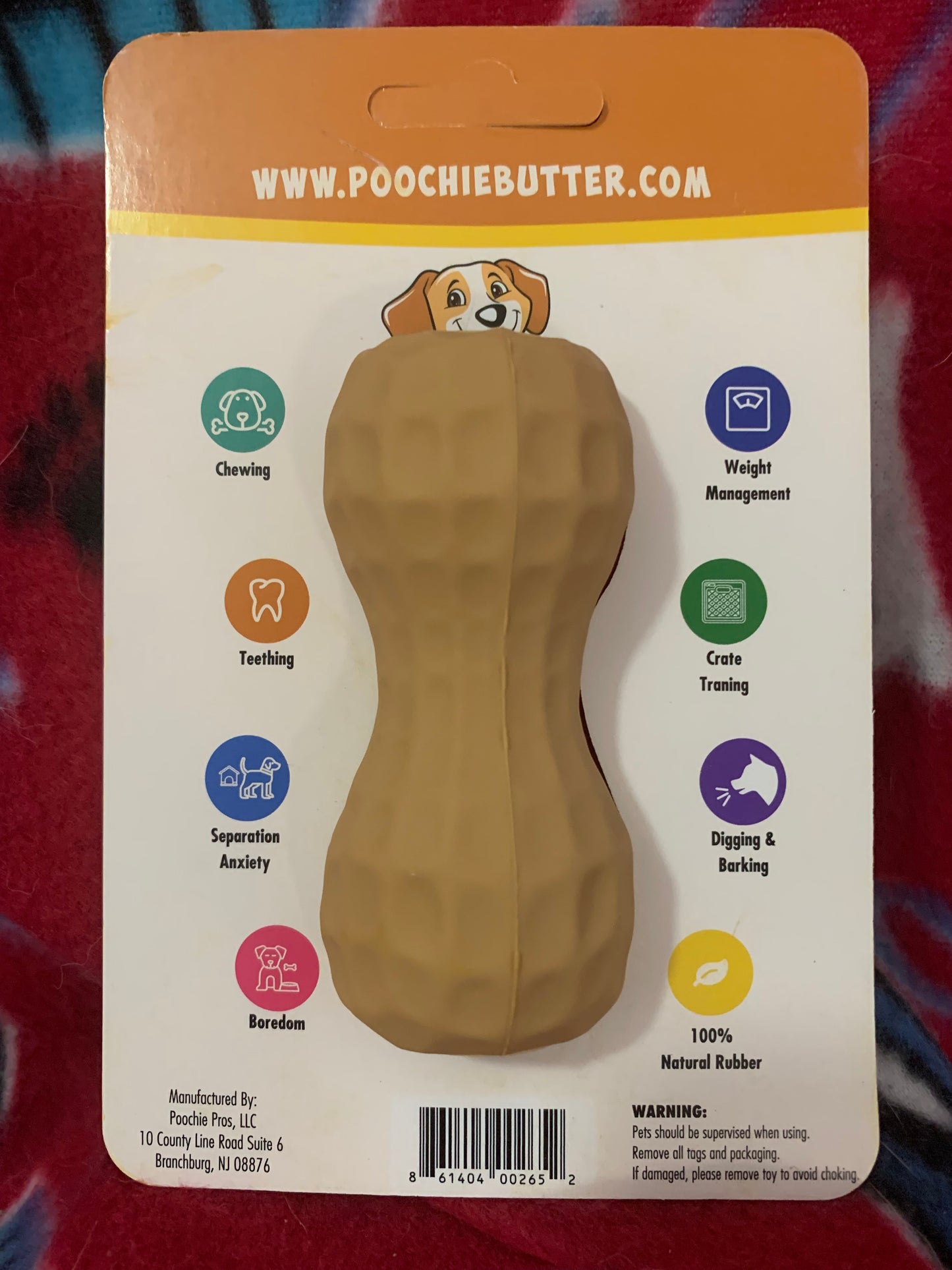 dog-chew