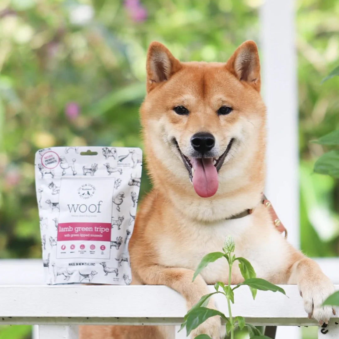 gluten-free-dog-treats