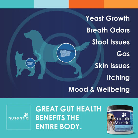 miracle-kitten-probiotics-diamond-s-natural-store