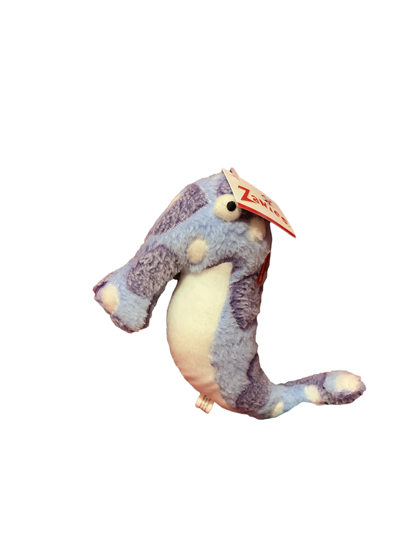 Sea Horse / Sea Charmers