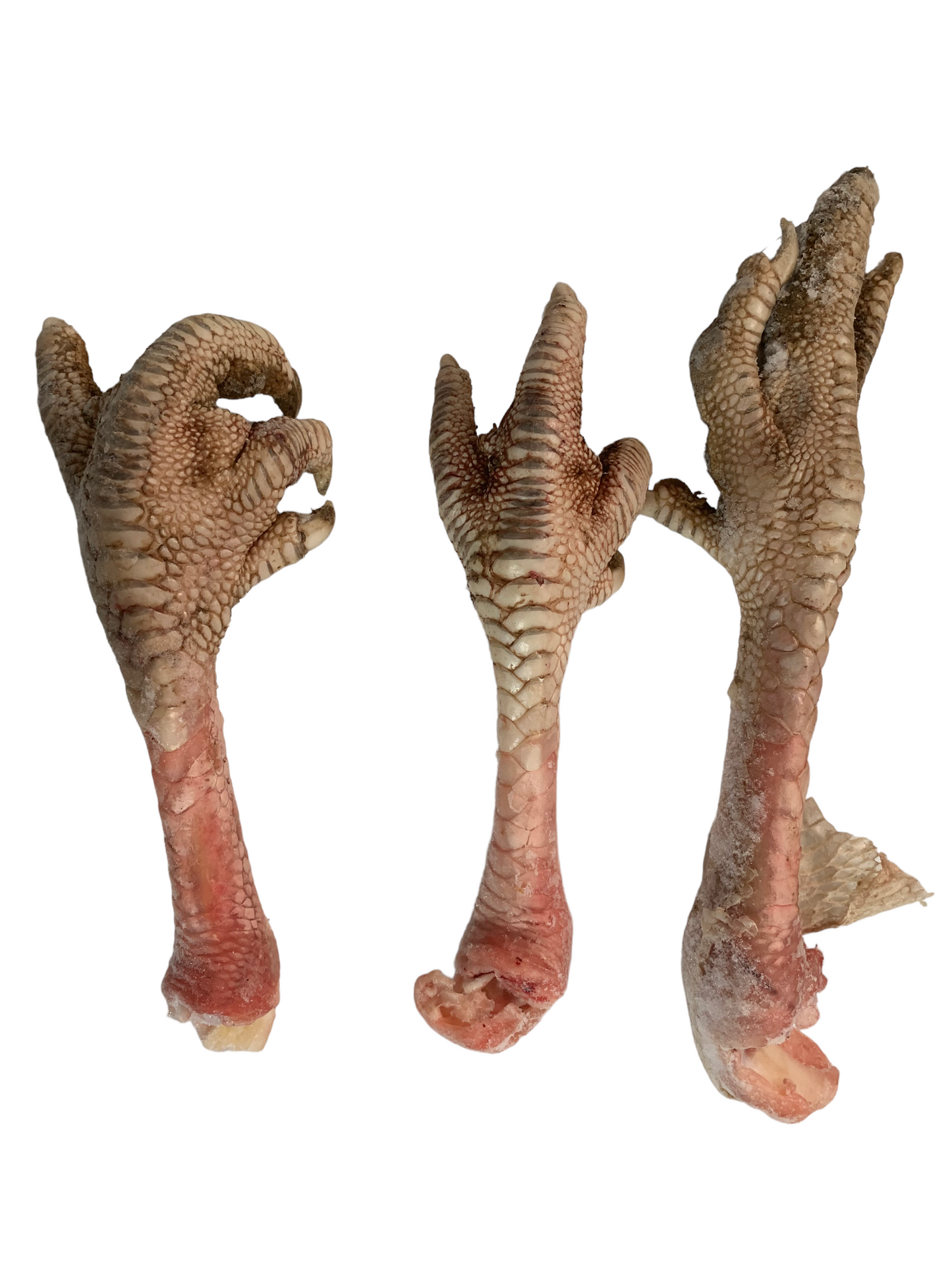 Turkey Feet Frozen--Local Customers Only