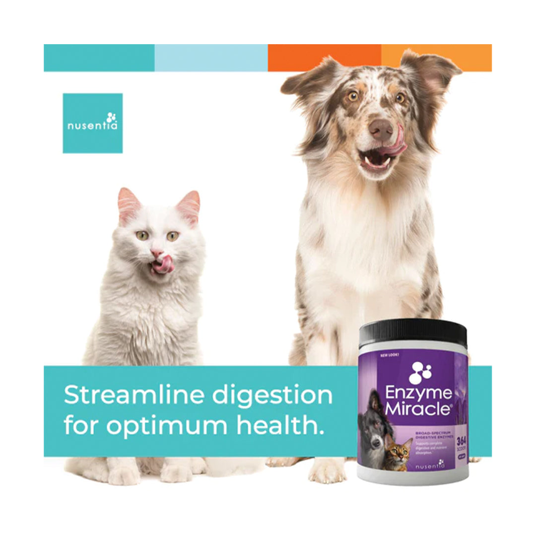 Enzyme Miracle by Nusentia Dog and Cats