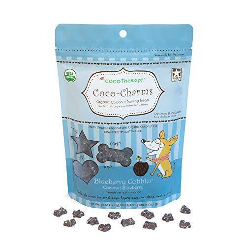 blueberry-dog-treats