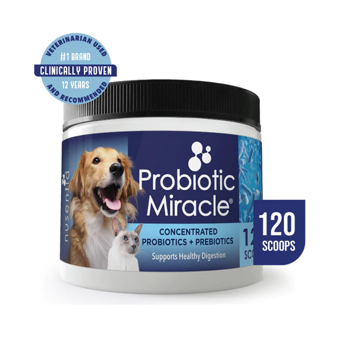 miracle-probiotics-for-dogs-diamond-s-natural-store